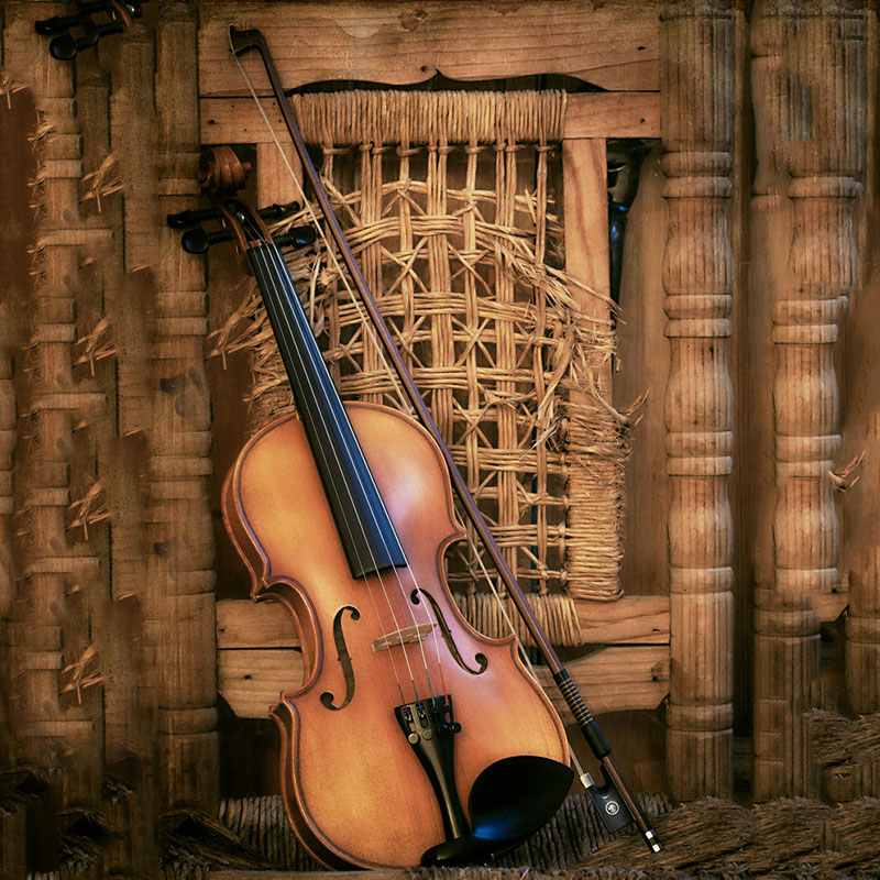 Violin Bow Violin Player Learn - Musical Instrument Shop incelemesi ve fiyatı