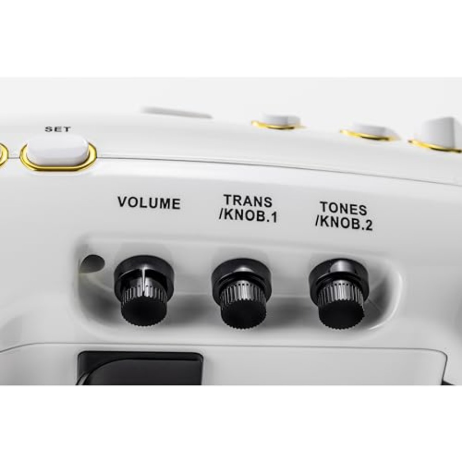 Elesa Electronic Saxophone Dig - Musical Instrument With A incelemesi ve fiyatı