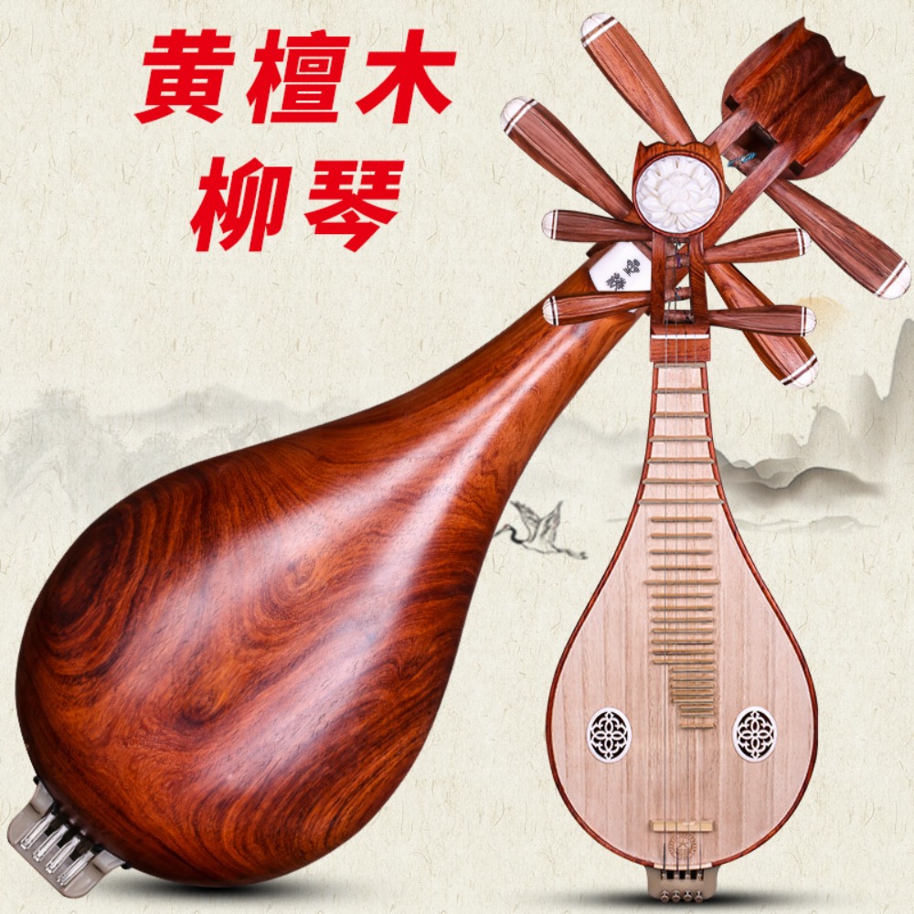 Beijing Xinghai 8414-A Rosewoo - Musical Instrument With A incelemesi ve fiyatı