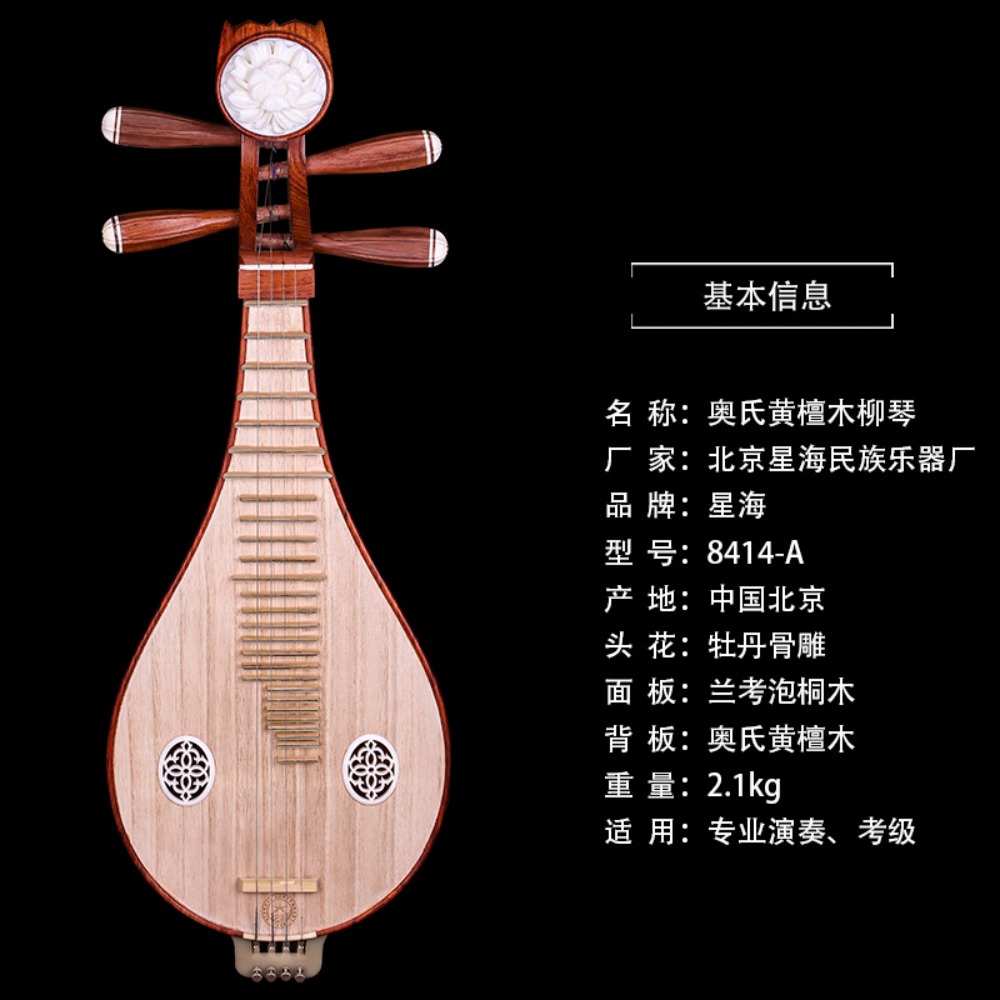 Beijing Xinghai 8414-A Rosewoo - Musical Instrument With A incelemesi ve fiyatı