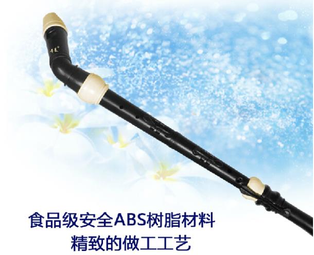 Professional 8 Holes Baroque B - Musical Instrument In Chinese incelemesi ve fiyatı