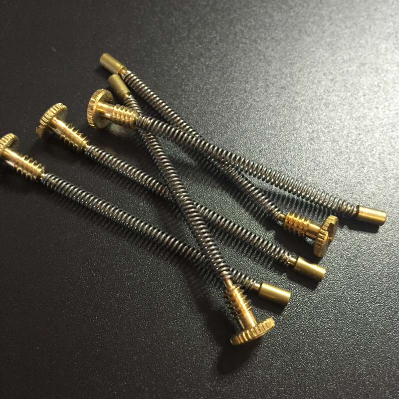 10pcs Metal Spring Screw For Z - Musical Instrument Zither incelemesi ve fiyatı