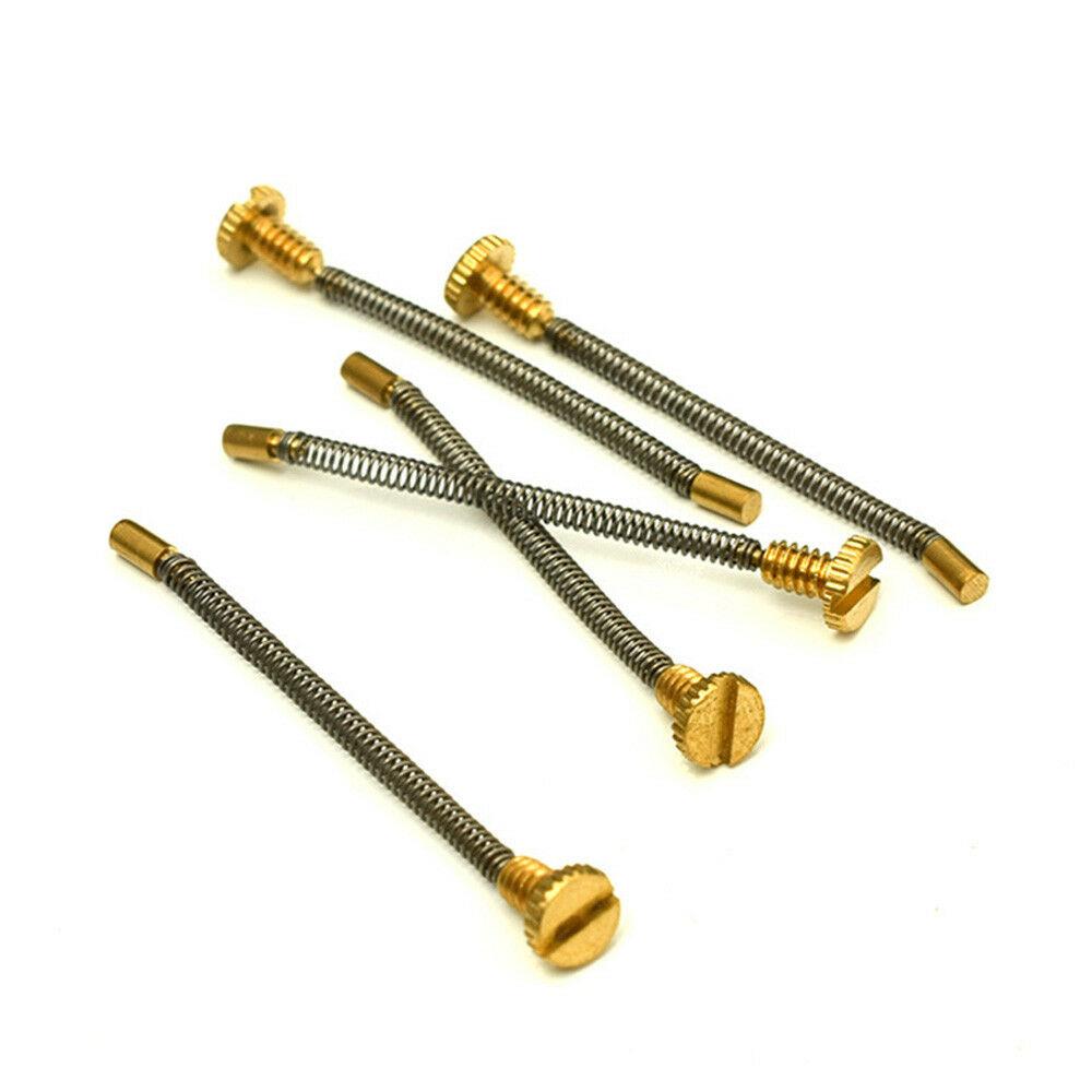 10pcs Metal Spring Screw For Z - Musical Instrument Zither incelemesi ve fiyatı
