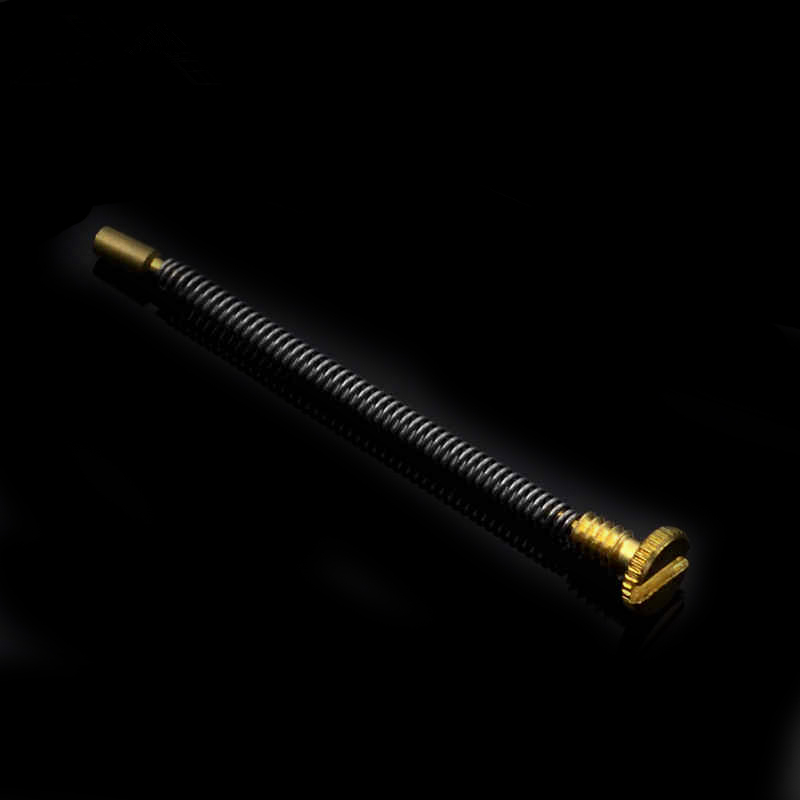 10pcs Metal Spring Screw For Z - Musical Instrument Zither incelemesi ve fiyatı