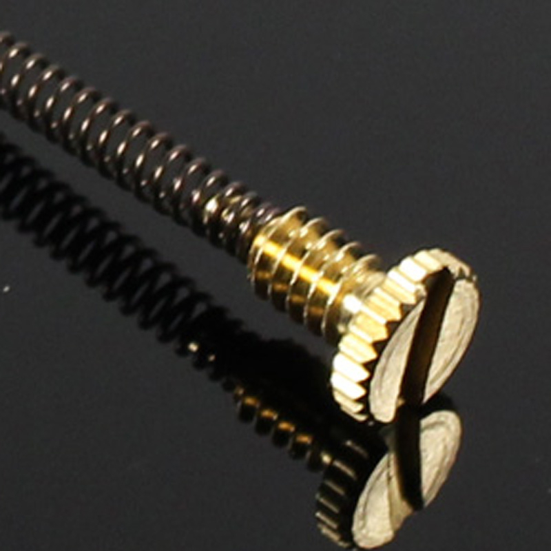 10pcs Metal Spring Screw For Z - Musical Instrument Zither incelemesi ve fiyatı